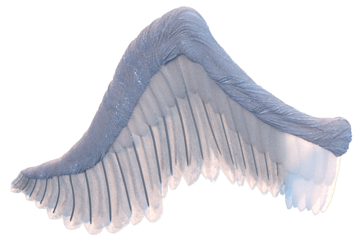 Divine Wing with changes to both the arm and the feathers