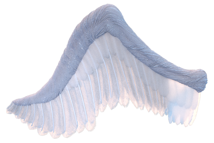 Divine Wing with all my changes