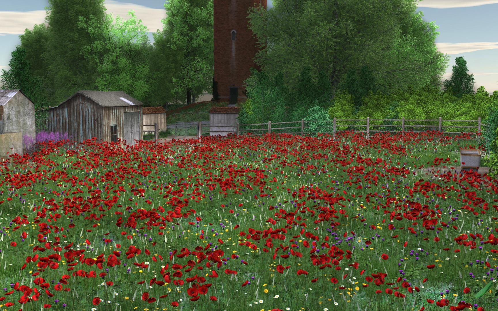 Jackson's Field for Daz Studio and Carrara [Out Daz