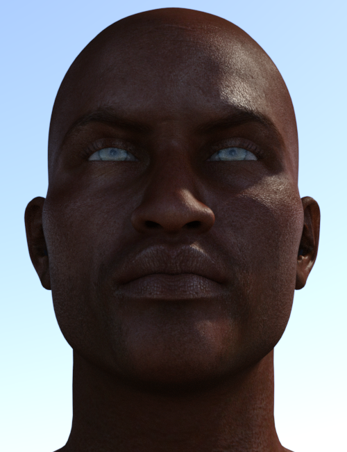 Ryze translucency study.