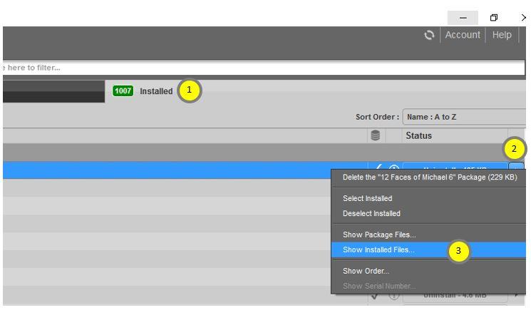 Daz Install Manager Steps