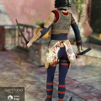 Nitsu Hinshi Samurai Armor for Genesis 3 Female(s) | Daz 3D