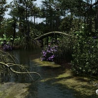 Dynamic Jungle Rainforest | Daz 3D