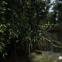 Dynamic Jungle Rainforest | Daz 3D