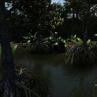 Dynamic Jungle Rainforest | Daz 3D