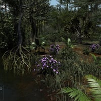 Dynamic Jungle Rainforest | Daz 3D