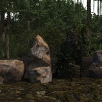 Dynamic Jungle Rainforest | Daz 3D