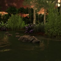 Dynamic Jungle Rainforest | Daz 3D