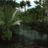 Dynamic Jungle Rainforest | Daz 3D