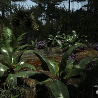 Dynamic Jungle Rainforest | Daz 3D