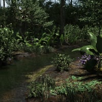 Dynamic Jungle Rainforest | Daz 3D