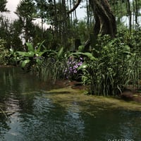 Dynamic Jungle Rainforest | Daz 3D