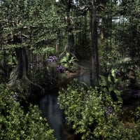 Dynamic Jungle Rainforest | Daz 3D