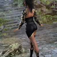 Dragon Fighter Outfit For Genesis 3 Female S Daz 3d