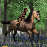 DA Horse and Rider Pose Set | Daz 3D