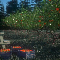On The Farm Orchard | Daz 3D