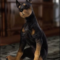 Daz 3D Millennial Dog Genitalia Daz 3D Millennial Dog Genitalia
