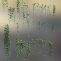 Hanging Vines - Ivy Plants | Daz 3D