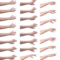 Ninja Hand Seals for G3  3d Models for Daz Studio and Poser