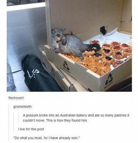 Do what you must, for I have already won.