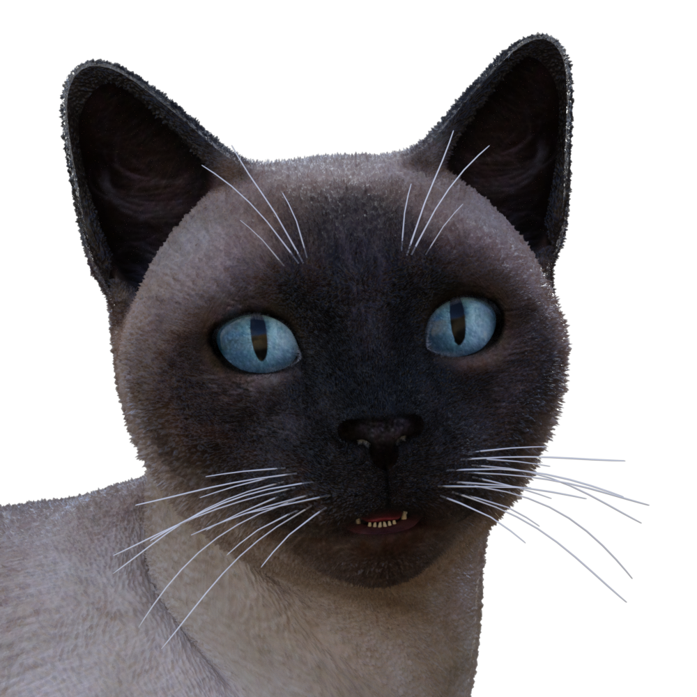 OFS Cat Fur, how to adjust the length of fur? [solved] Daz 3D Forums