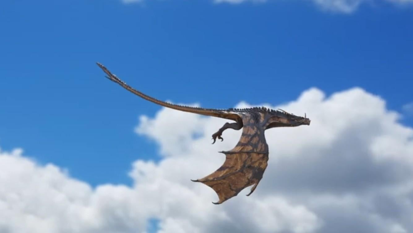 Dragon Flies
