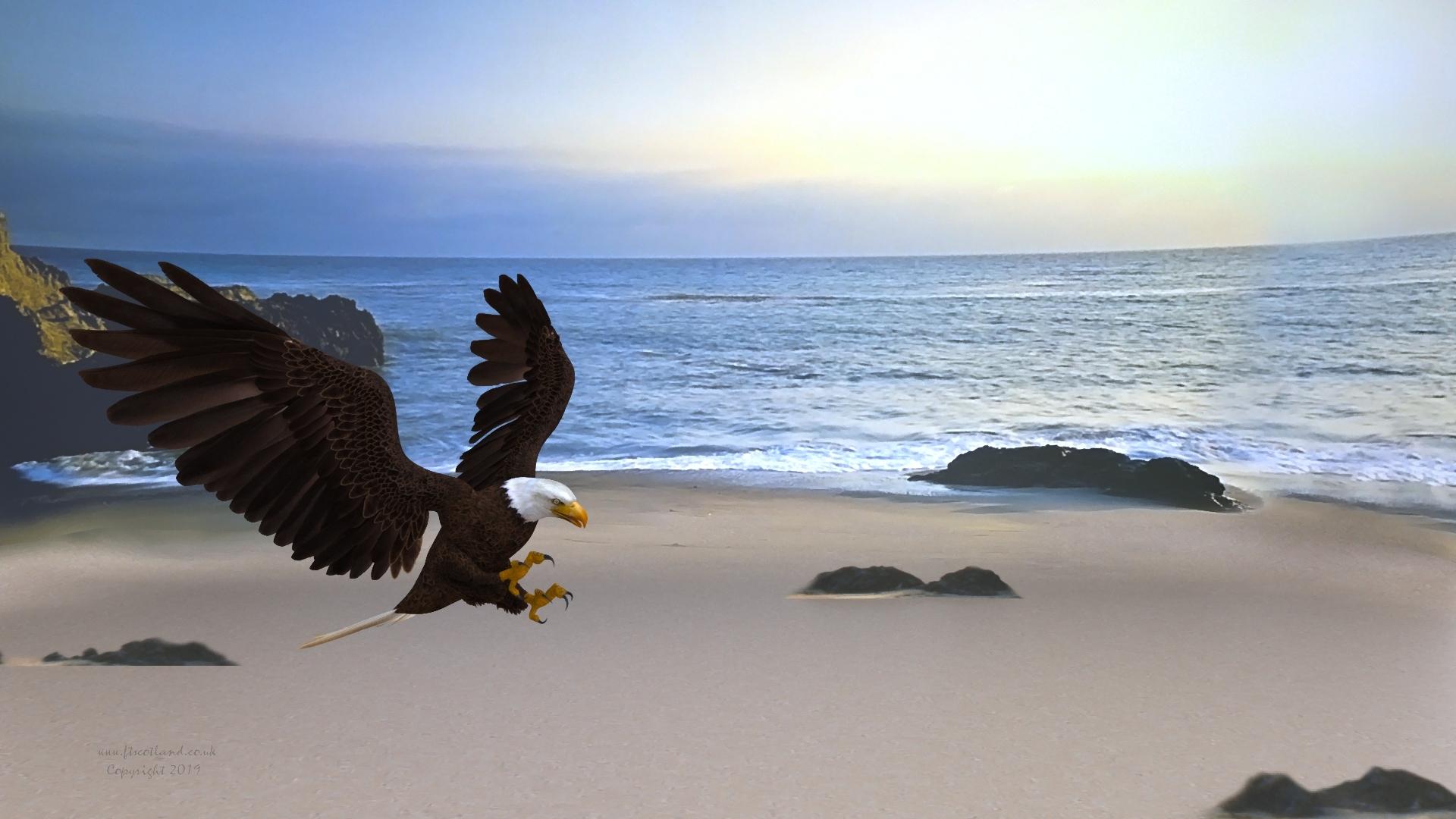 Multiplane Cyclorama background renders darker than the ground - Daz 3D