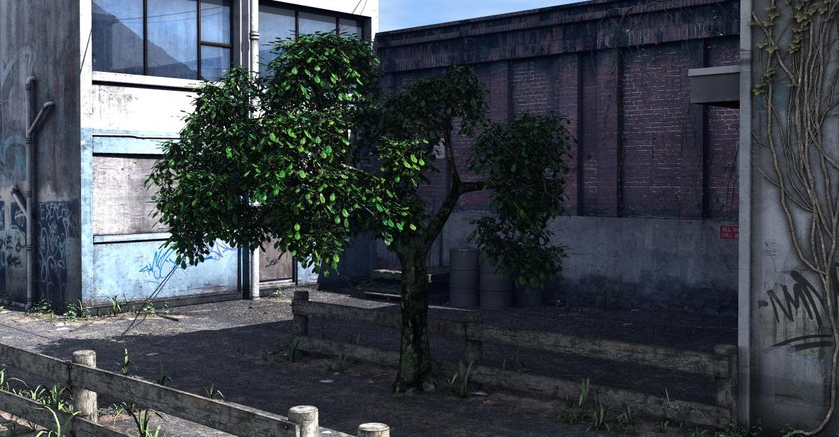 Stonemason's Derelict Urban With Bryce Tree