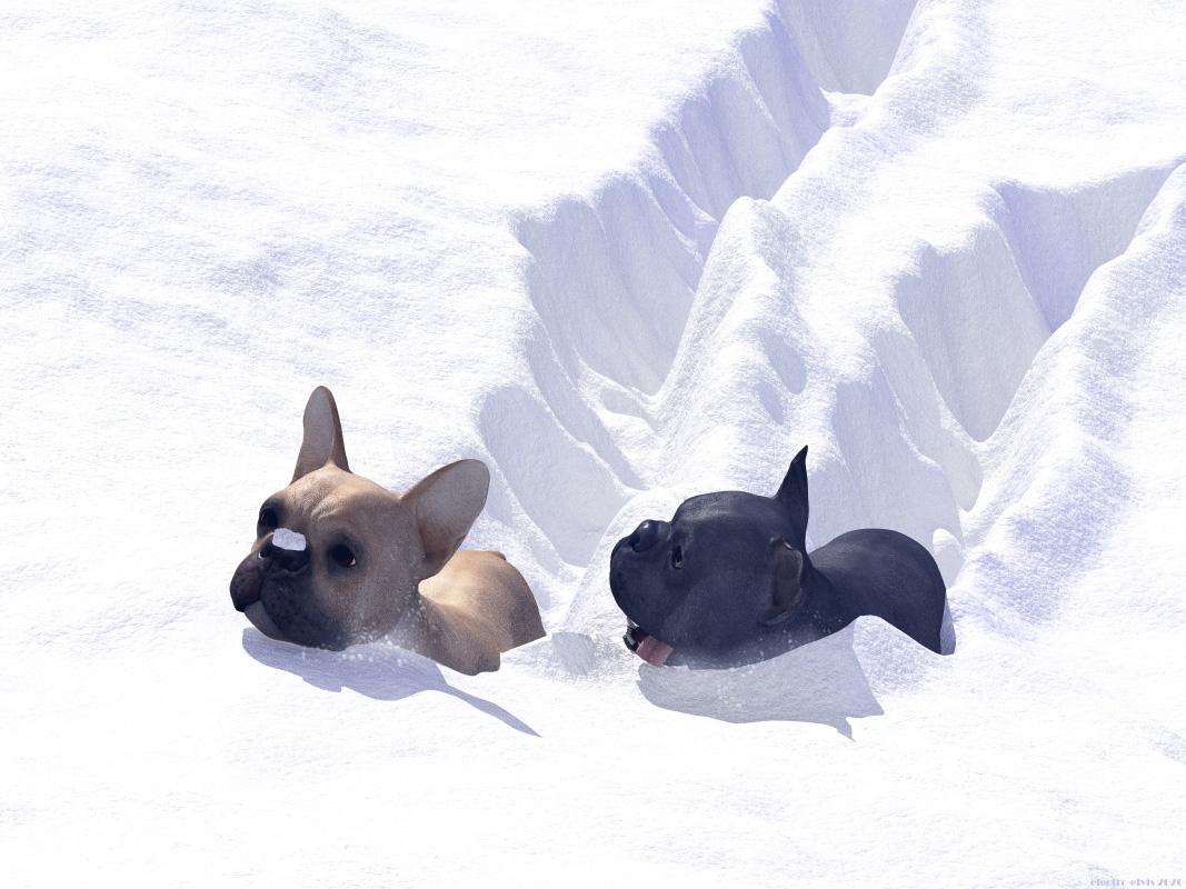 Bulldogs to the Pole