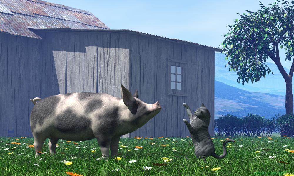 Pic with pig and cat
