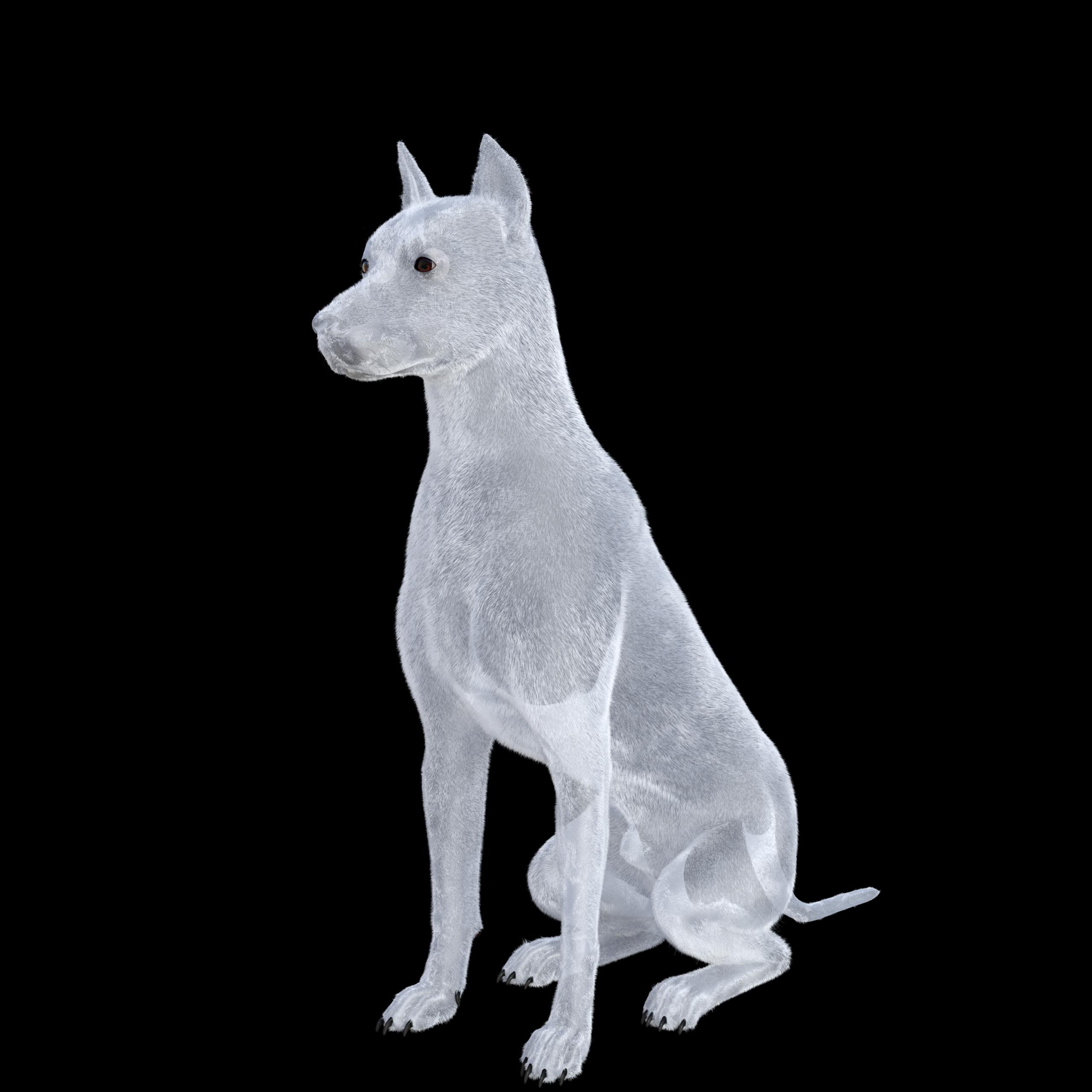 Dog with default lights