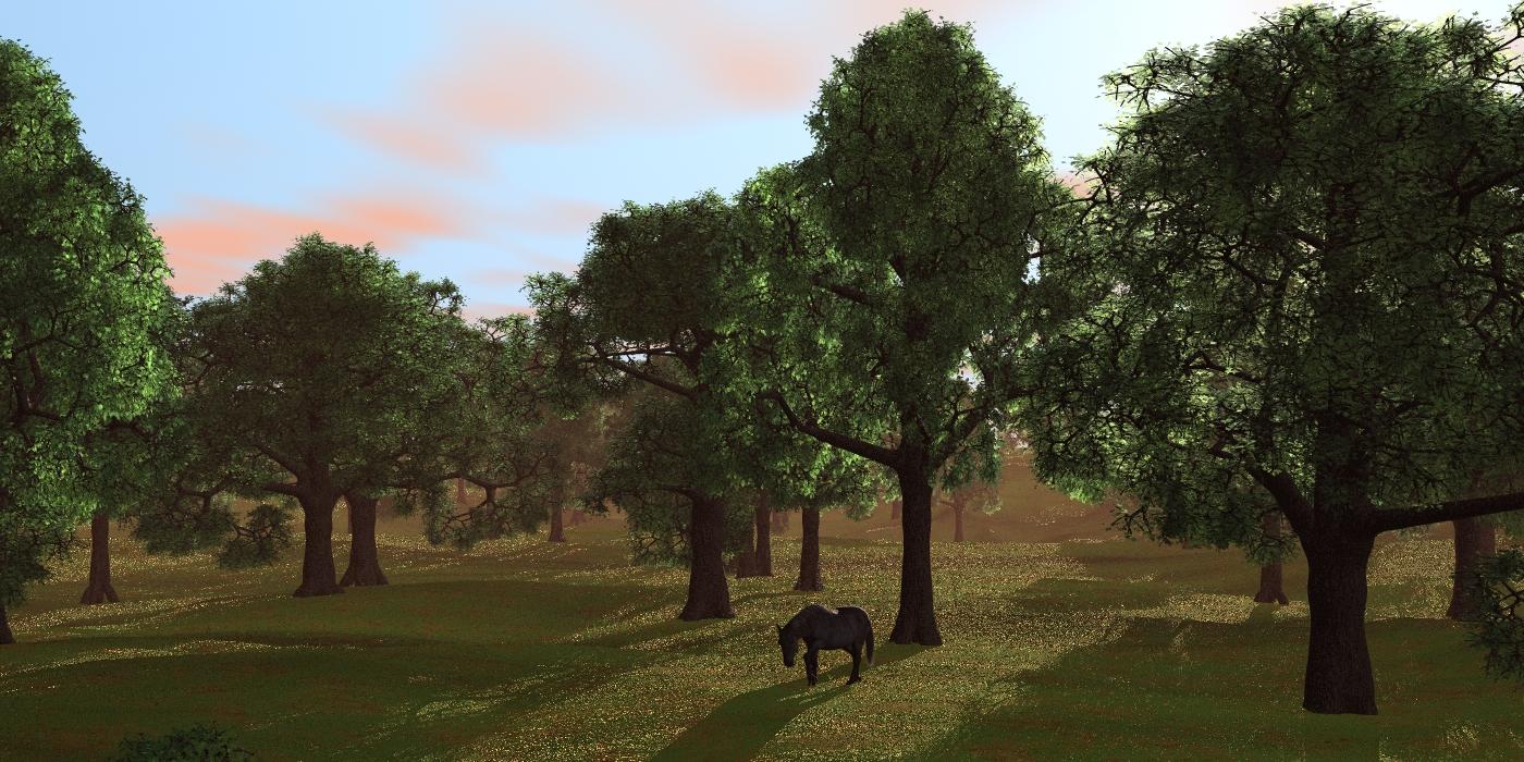 Trees in Backlight