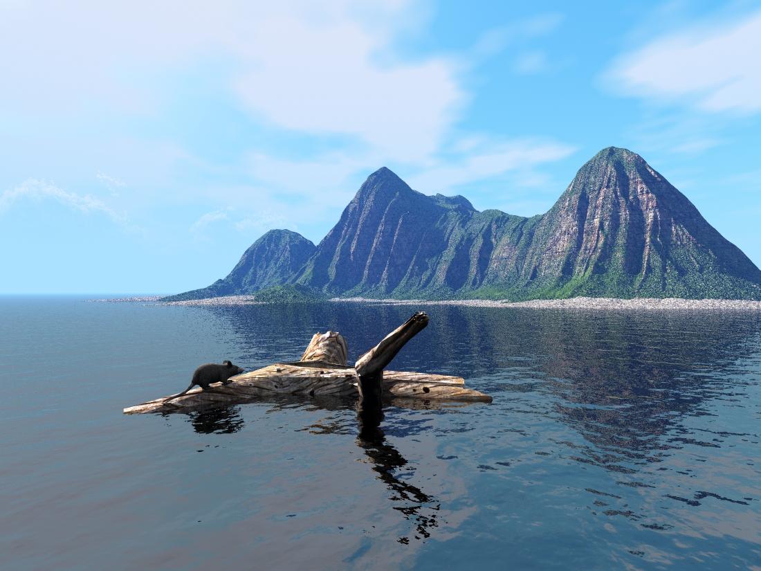 Belated picture for challenge 53