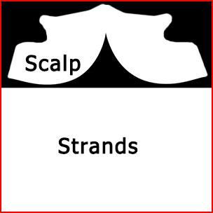 Example of scalp and strands on the same texture.