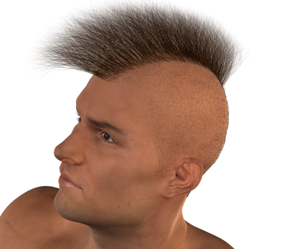 Real Hairy Military Mohawk Wip [commercial] Daz 3d Forums