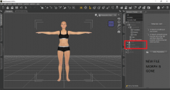 save edited daz meshes in zbrush