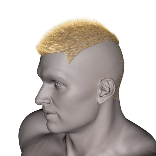 Real Hairy Military Mohawk Wip [commercial] Page 3 Daz 3d Forums