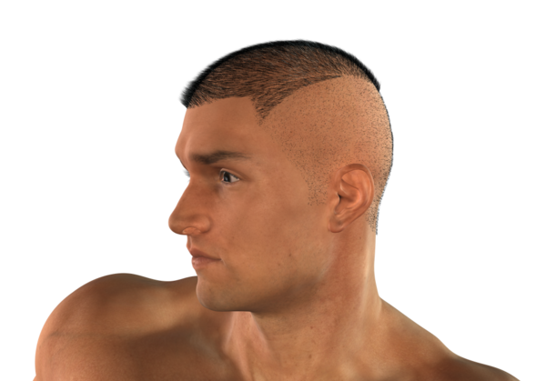 Real Hairy Military Mohawk Wip [commercial] Page 2 Daz 3d Forums