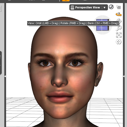 Facegen to DAZ Studio help for newbie - Daz 3D Forums