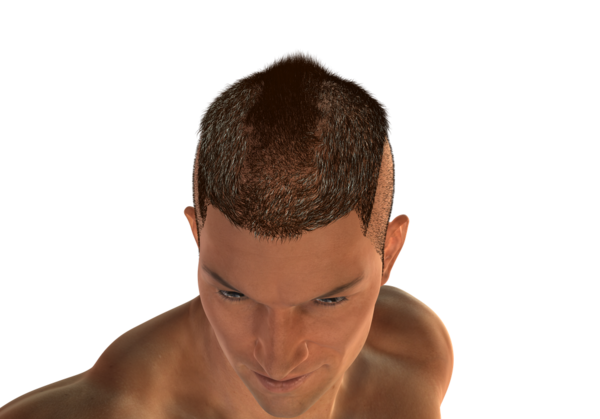 Real Hairy Military Mohawk Wip [commercial] Page 2 Daz 3d Forums
