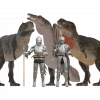Paleo Miles, the Paleo Knight
