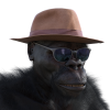 Monke